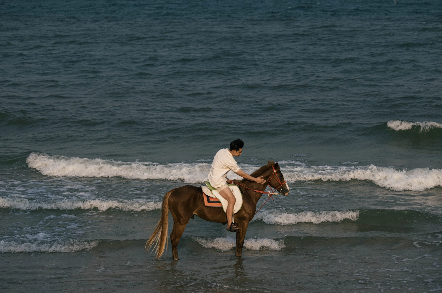 Horse Riding